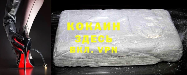 крисы Галич
