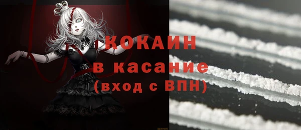 круглые Пересвет