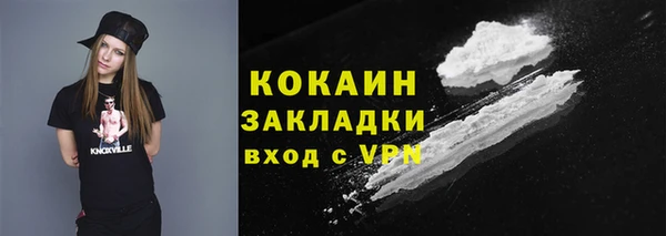 круглые Пересвет